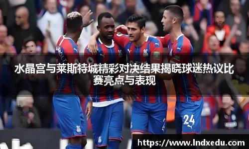 水晶宫与莱斯特城精彩对决结果揭晓球迷热议比赛亮点与表现
